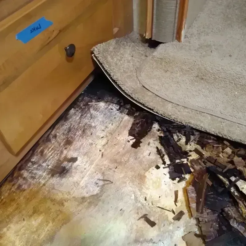 Best Wood Floor Water Damage Service in Bremen, OH